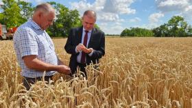 Уборка урожая-2024 на Дону началась раньше срока